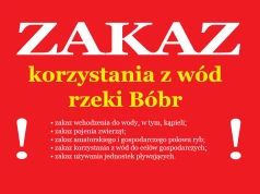 Zakaz korzystania z wód rzeki Bóbr – katastrofa ekologiczna