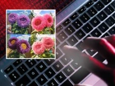 Te kwiaty nie istnieją. Amazon, eBay i Etsy mierzą się z falą ofert