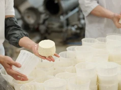 Milkpol walczy o stabilność. Jest wniosek o sanację