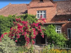 Gawęda o szkarłatnych różach i białych laubzekinach (Opowieści z Dąbrowy, odc. 12)