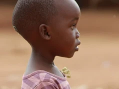 WHO zatwierdziła pierwszy test na wirusa Ebola Bundibugyo. Ma przyspieszyć wykrywanie zakażeń