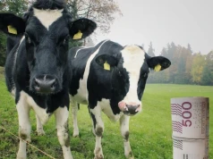 Kiedy mleko znów zdrożeje? Eksperci wskazują moment przełomu