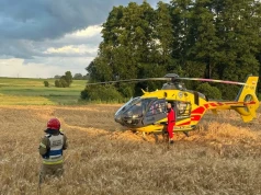 Samochód uderzył w drzewo. Kobieta i dwoje dzieci przewiezieni do szpitala