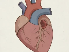 Biologiczna czy mechaniczna? Wybór zastawki, który decyduje o macierzyństwie