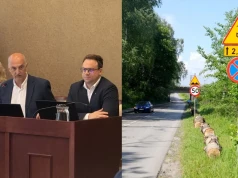 Kłody przy Zalewie Sosina w Jaworznie. Lasy Państwowe prostują słowa prezydenta