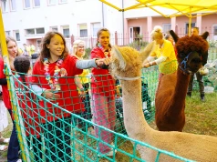 Podopieczni hospicjum cofnęli się do czasów swojej młodości