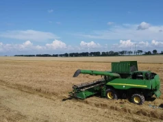 Żniwa jęczmienia na południu Polski. Takie są plony i ceny skupu