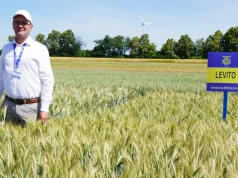 Nowe odmiany pszenicy mogą obniżyć koszty. Pokazali je w Strzelcach