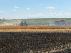 Pożar zniszczył około 60 hektarów zboża. Do akcji skierowano 10 zastępów straży i samolot gaśniczy