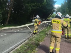 Silne porywy wiatru i ochłodzenie. Strażacy usuwali skutki wichury