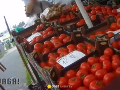 Co kryje się w pomidorach? Sprawdzili je w laboratorium. Wyniki są zaskakujące