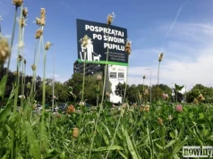 Kosze czy mandaty? W Jastrzębiu trwa dyskusja o psich nieczystościach