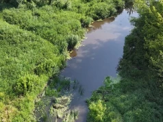 Mętna i szara woda, zapach ścieków. Zanieczyszczenie rzeki w Ciechanowie