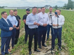 Nawałnice i grad zniszczyły ponad tysiąc hektarów