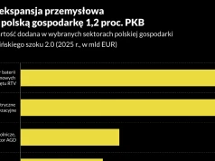 Chiński szok 2.0 kosztuje polską gospodarkę 1,2 proc. PKB. Najmocniej cierpią baterie, motoryzacja i stal