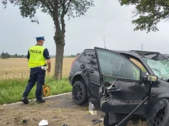 Tragiczny wypadek pod Wronkami. 18-letni kierowca zginął po uderzeniu w drzewo