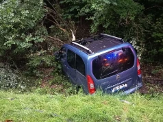 Groźny wypadek między Kaczorowem a Wojcieszowem. Citroen uderzył w drzewo