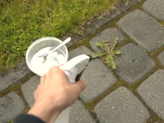 Wlewają to na chwasty i po dobie nie ma śladu