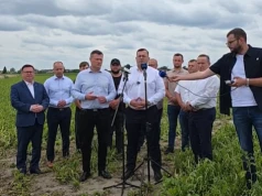 Grad zniszczył pola w Wielkopolsce. Minister Krajewski zapowiada szybką pomoc dla rolników
