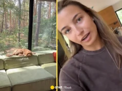 Julia Wieniawa pokazała wnętrza domu w środku lasu. "Czy może być piękniej?"