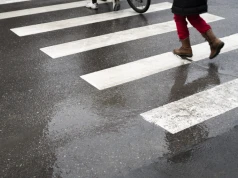 Mieszkańcy Bałuty chcą zadbać o swoje zebry. Rada Osiedla rusza z kolejną inicjatywą