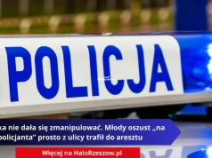 Seniorka nie dała się zmanipulować. Młody oszust „na policjanta” prosto z ulicy trafił do aresztu