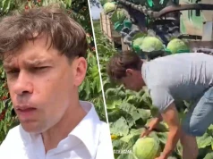 Filmiki Kołodziejczaka podbijają internet. "Większość posłów nosi kij w..."