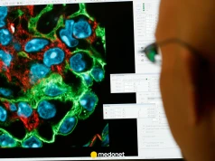 Uczeni odblokowali potężną broń na raka. Dosłownie "pożera" komórki rakowe