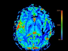 Jak zatrzymać rozprzestrzenianie się Alzheimera? Nowe odkrycie daje nadzieję