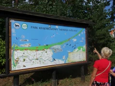 Patodeweloperka po polsku. Wybite szyby, pobicia, zastraszanie