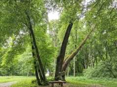To tu narodził się polski romantyzm