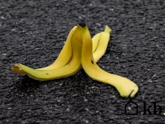 Skórki z banana naprawdę działają jako nawóz? Odpowiedź nie jest tak prosta