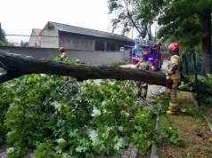 Silny wiatr w powiecie braniewskim. Pracowity dzień strażaków