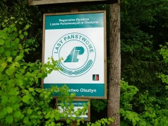 Działania resortu klimatu przyniosą paraliż gospodarki leśnej