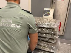 Warszawa: Ponad 40 kg marihuany w paczkach z Kanady. Celnicy udaremnili przemyt narkotyków wartych 2 miliony