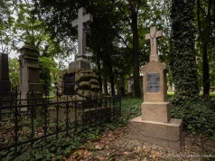 Ocalmy pamięć Cmentarza Starego. Zarząd Zieleni Miejskiej prosi mieszkańców o archiwalne zdjęcia