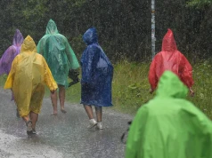 TPN pokazuje skutki uderzenia pioruna w drzewo. Apelują do turystów
