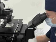 Wrocław podsumowuje sześć lat programu in vitro. Dzięki miejskiemu wsparciu urodziło się 336 dzieci