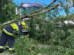 Silny wiatr w Baninie. Drzewo spadło przed nadjeżdżającą ciężarówkę