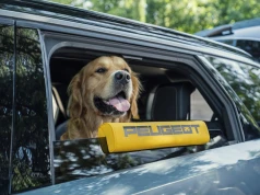 Nowy Peugeot e-5008 „Dog Edition”. Dla wygody naszych pupili