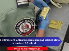 Akcja KAS w Krościenku. Udaremniony przemyt sztabek złota o wartości 1,5 mln zł.