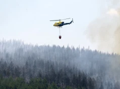 Rośnie liczba ofiar pożaru w Hiszpanii. "Bezprecedensowa tragedia"