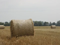 Żniwa 2026. Słoma zbyt cenna, żeby ją sprzedawać