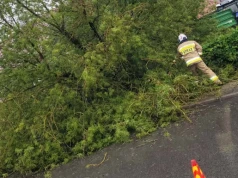 Strażacy gasili pożar samochodu i usuwali drzewa powalone przez wiatr