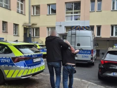 Obywatel Gruzji aresztowany za kradzież zuchwałą