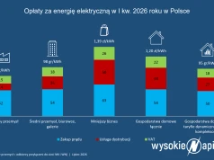 Kto płaci za prąd najwięcej a kto zyskał na taryfach dynamicznych?