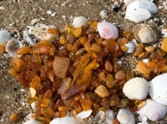 Nazywają je złotymi plażami. To tu znajdziesz najwięcej bursztynów