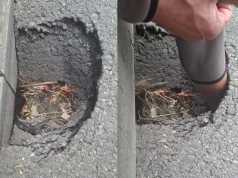 Głęboka dziura w asfalcie przy ul. Kosowskiej. Kierowcy, bądźcie czujni