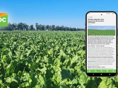 IDC Sumi Agro. Fitokomunikaty, doradztwo i praktyczna wiedza w jednym miejscu