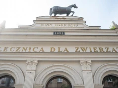 Łódzkie zachwyca. Kamienica, w której od ponad 130 lat leczy się zwierzęta. Historia słynnej „Kamienicy pod Koniem”